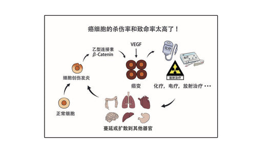 應對頑疾惡病的晢學